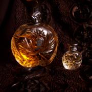 safari fragrantica