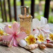 Photo by HelenRainbow