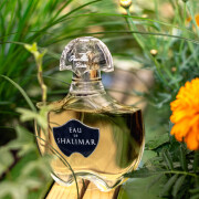Eau de Shalimar Guerlain аромат - аромат для жінок 2008