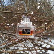 Photo by Lady Winter