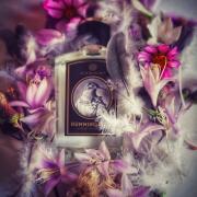 ZOOLOGIST HUMMINGBIRD エクストラクト・ド・パルファム Zoologist Hummingbird Deluxe Bottle