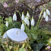 Photo by Yellow Pollen