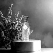 Photo by Лейка@@@