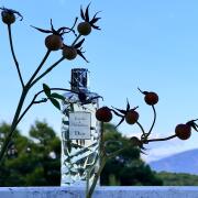 Photo by Маривиктори