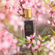 Photo by vitkovskaya