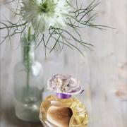 Photo by Лейка@@@