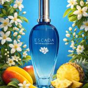 Photo by kosmoskukka