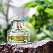 Notorious Ralph Lauren perfume - a fragrance for women 2008