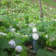 Photo by Vibia Sabina