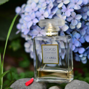 Coco Mademoiselle Chanel perfume - a fragrance for women 2001