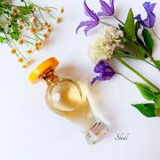 Epidor Lubin perfume - a fragrance for women and men 2017