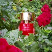 Photo by fabrice1977