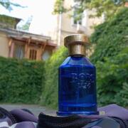 Photo by PlumeParFumee