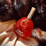 Chloé (Parfums Lagerfeld) Karl Lagerfeld perfume - a fragrância