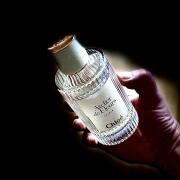 Photo by amsterdaman