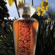 Fleur d'Interdit Givenchy аромат - аромат для жінок 1994