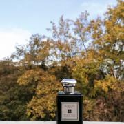 fragrantica jo malone myrrh and tonka
