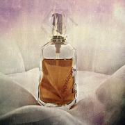 gianni versace perfume 1981