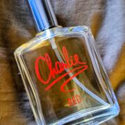 Photo by StephWillimon