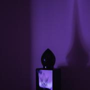 Black Gemstone Stéphane Humbert Lucas 777 perfume - a fragrance for ...