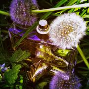 Kenzo Jungle L'Elephant Kenzo perfume - a fragrance
