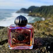 Photo by Вешняя