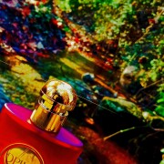Opium Eau de Toilette 2009 Yves Saint Laurent perfume - a