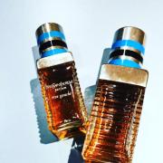 Women's Perfume Rive Gauche Yves Saint Laurent EDT (100 ml) - Perfumes &  fragrances - Photopoint