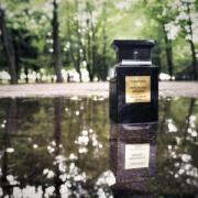 TOM FORD PATCHOULI ABSOLU 50ml 未開封品 Tom Ford – Patchouli Absolu eau de parfum | eBay