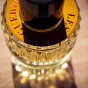 2018 Roxo Tonic Les Bains Guerbois perfume - a fragrance for