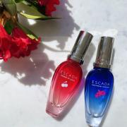 Cherry Blossom Journey - DUA FRAGRANCES - Inspired by Cherry In Japan  Escada - Feminine Perfume - 34ml/1.1 FL OZ - Extrait De Parfum