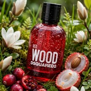 Red Wood DSQUARED² perfume - a fragrance for women 2019