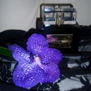 Photo by Engel desTodes