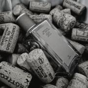 Photo by LadyKiller-88