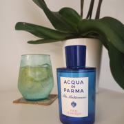 Acqua Di Parma Blue Mediterraneo Fico Di Amalfi Eau de Toilette Spray for  Men, 5 Ounce