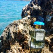 香水(ユニセックス) AERIN MEDITERRANEAN HONEYSUCKLE 50ml Mediterranean Honeysuckle | AERIN