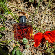 Maai Bogue perfume - a fragrance for women and men 2014