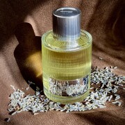 Beau De Jour Eau de Parfum Tom Ford cologne - a fragrance for men 2020