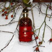 Ambre Samar Guerlain perfume - a new fragrance for women and men 2025