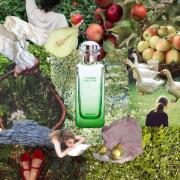 Photo by TheTeaWitch🐈⬛