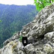 Photo by magdalena_17