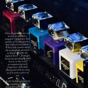 Photo by elixirniche