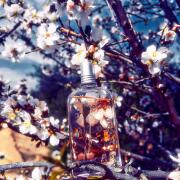 L'Occitane - Fleurs De Cerisier(ロクシタン - チェリー