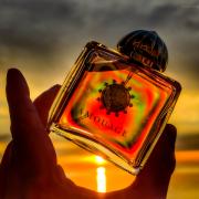 Fate Woman Amouage perfume - a fragrância Feminino 2013