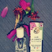 Sur La Lande Yves Rocher perfume - a new fragrance for women 2022