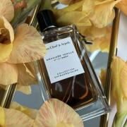 Orchidée Vanille Van Cleef & Arpels perfume - a