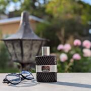 Eau Sauvage Extreme 2010 Dior cologne - a fragrance for men 2010