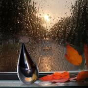 Photo by Лейка@@@