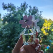 Daisy Wild Marc Jacobs 香水- 一款2024年女用香水