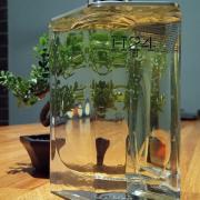 H24 Hermès cologne - a new fragrance for men 2021